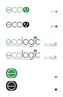 Ecologic company identity